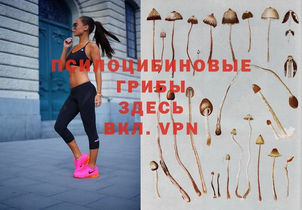 кокс Алзамай