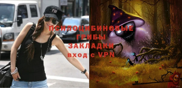герыч Алексин