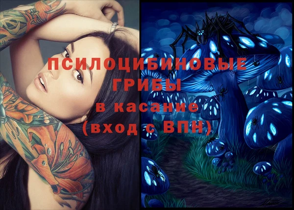 герыч Алексин